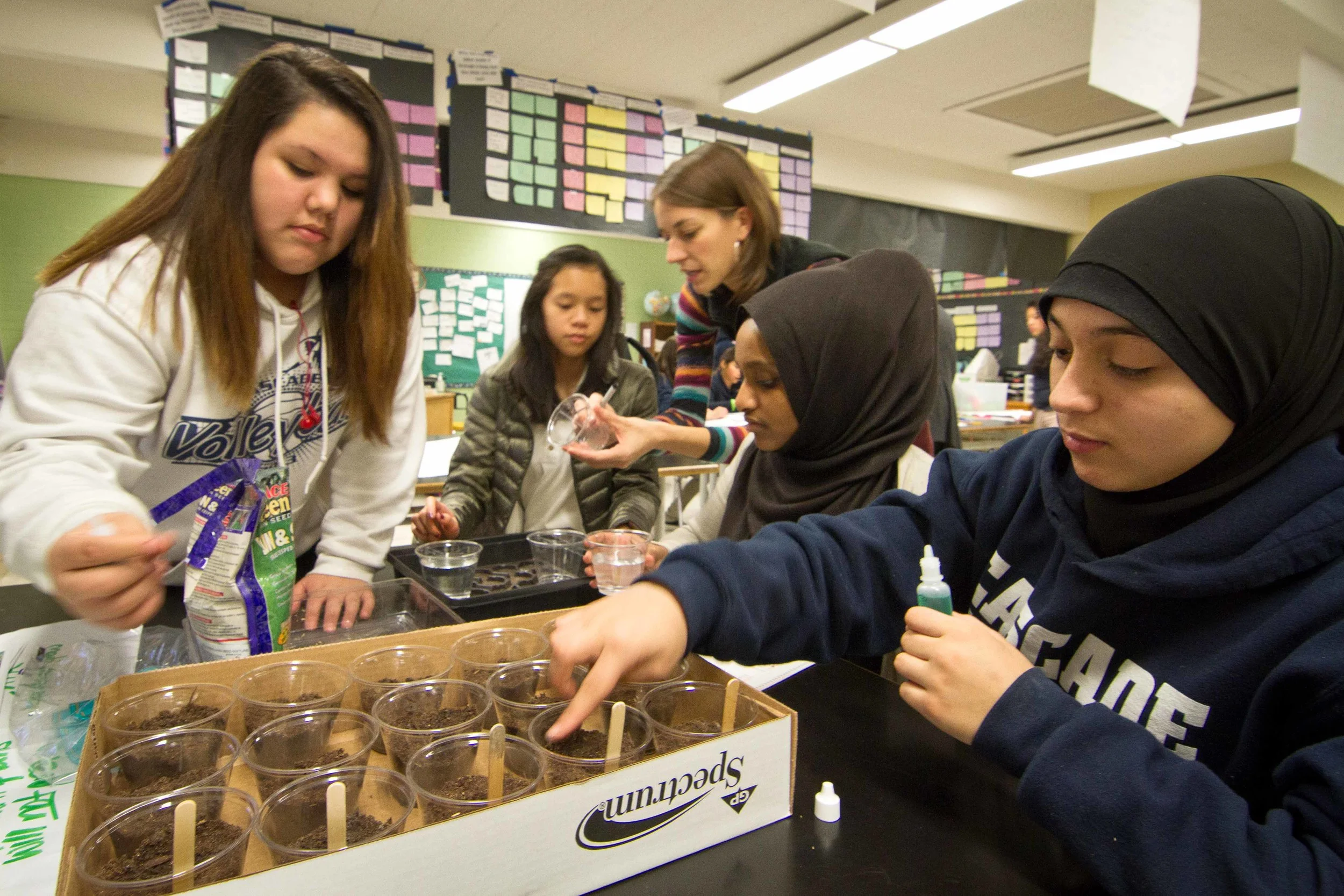 STARS (students tackling authentic and relevant science) — Tara Champion