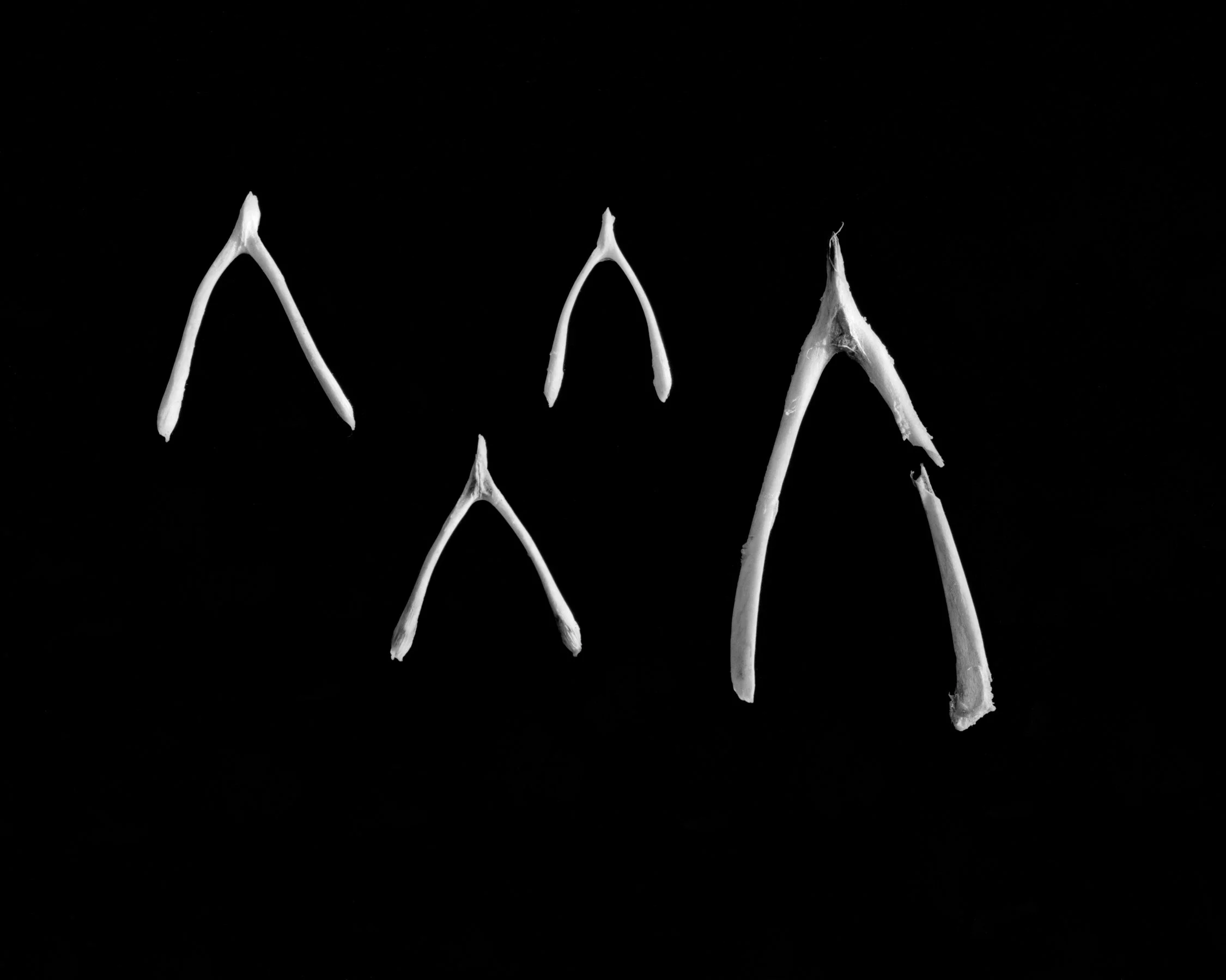 Broken, silver gelatin print 2023