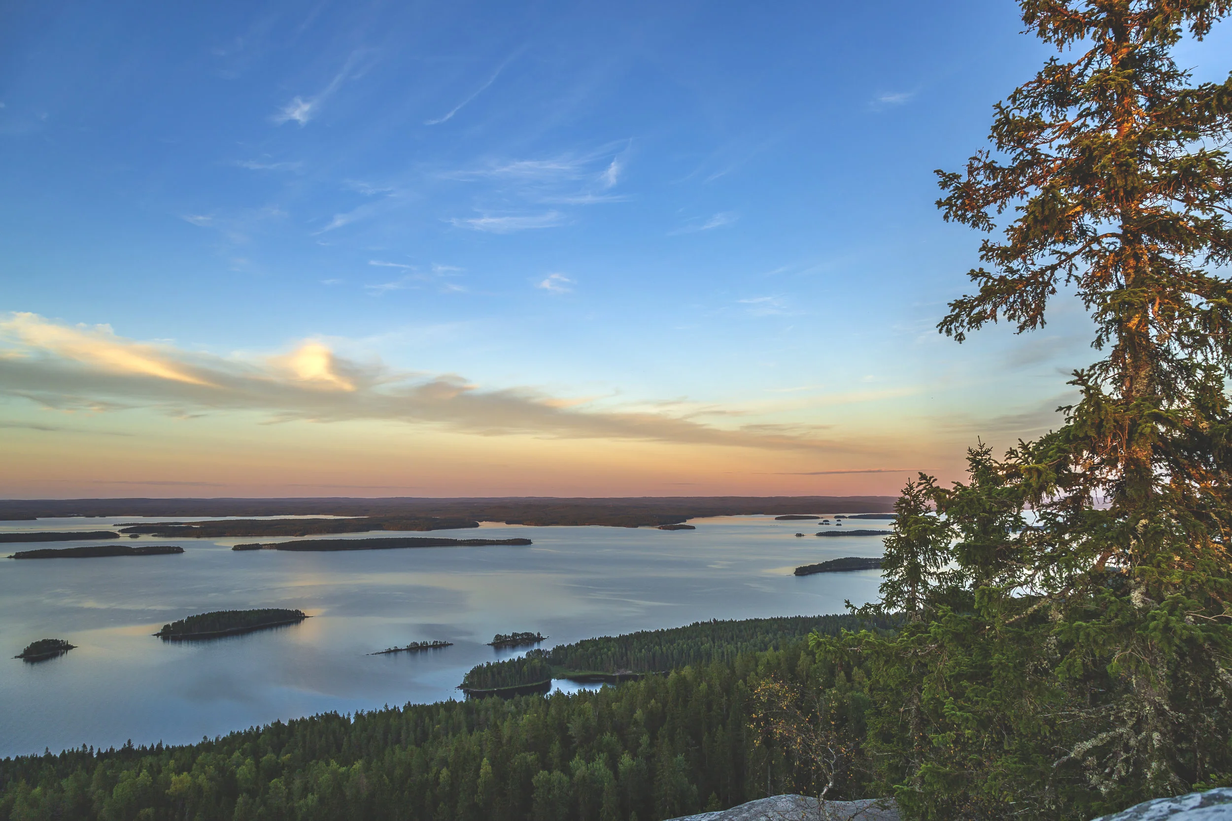 Koli