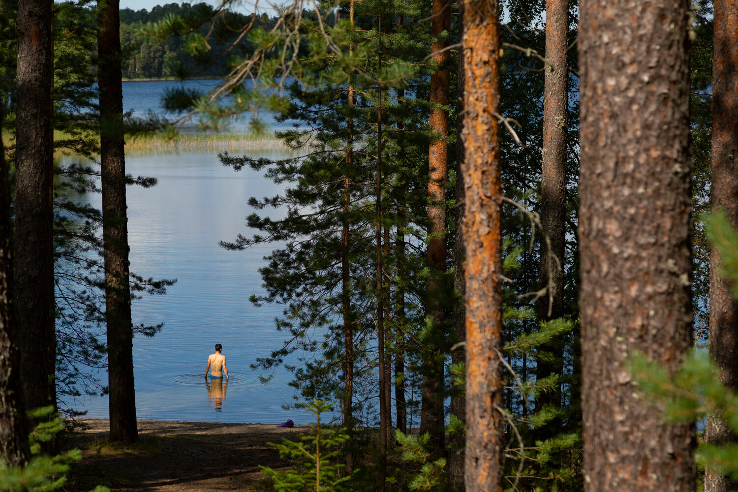 Punkaharju