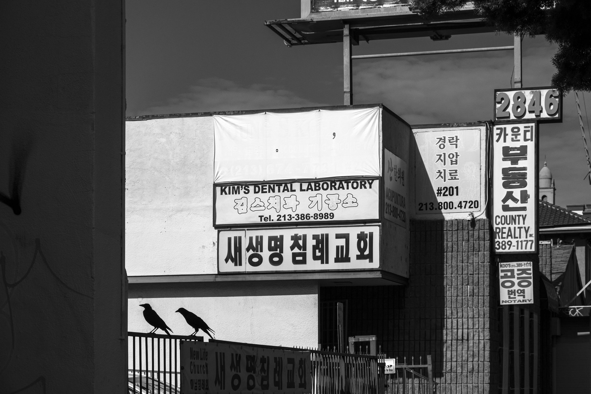 Koreatown, 2023