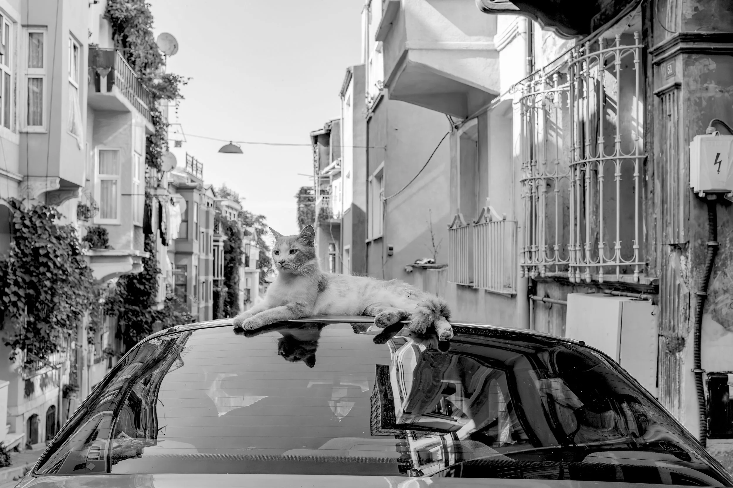 Balat, 2026