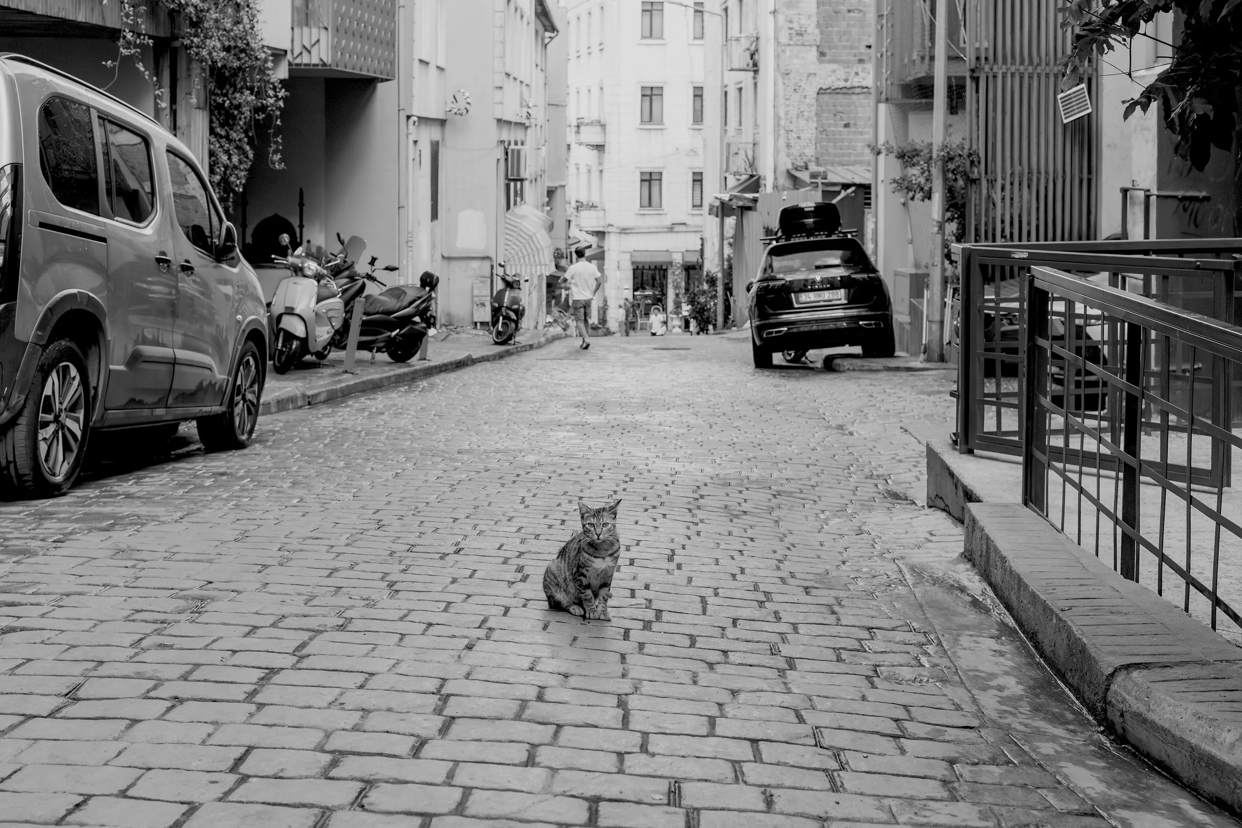 Beyoğlu, 2026