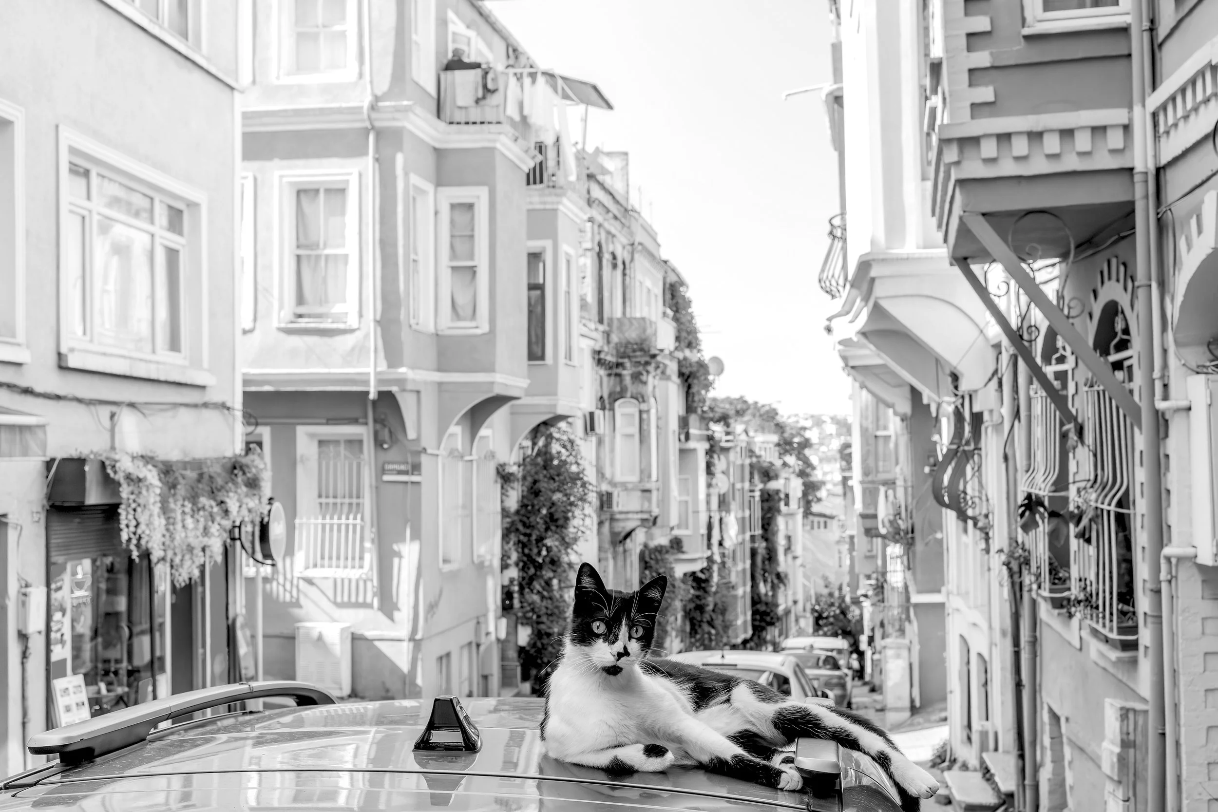 Balat, 2026