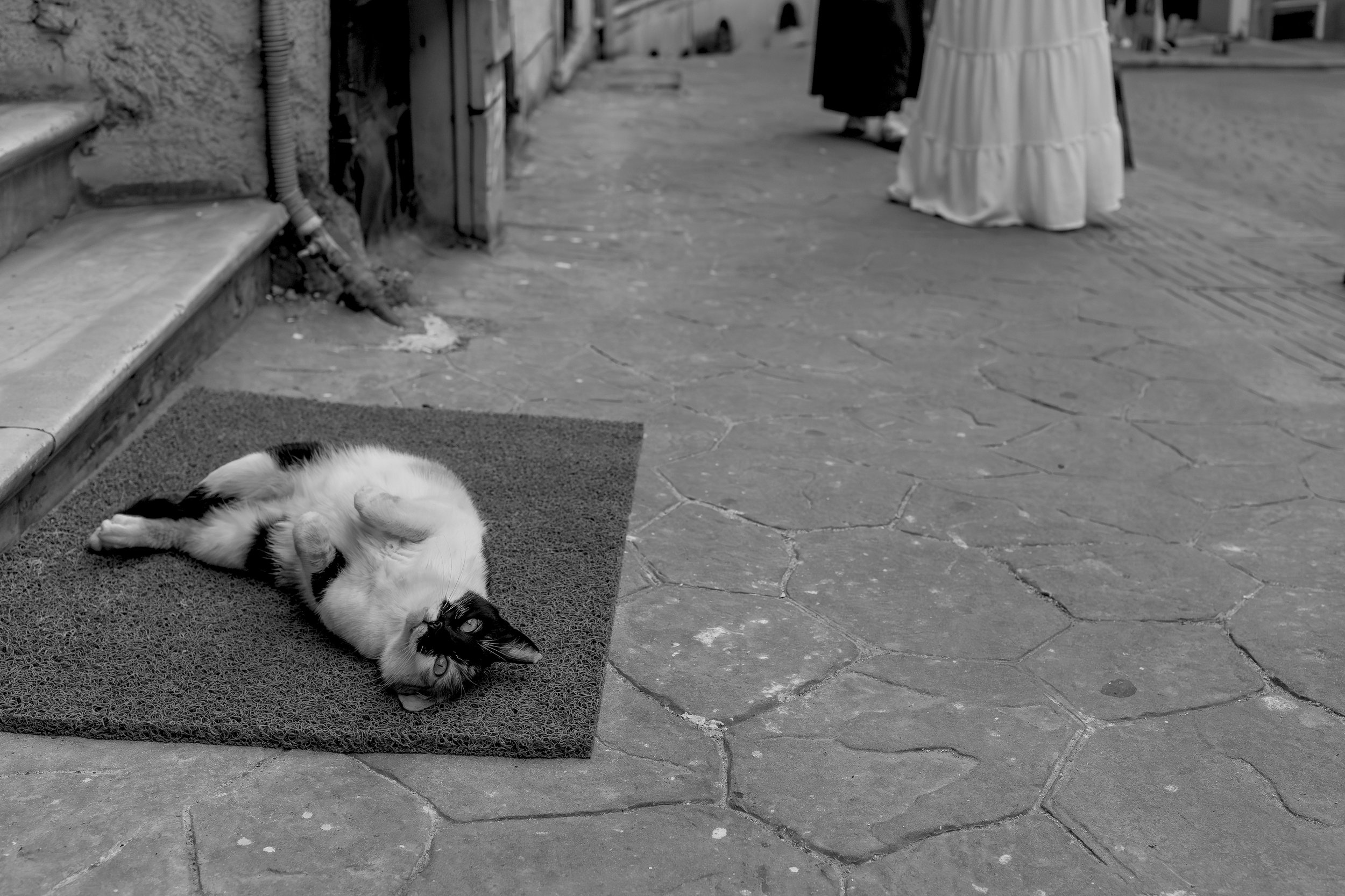 Cihangir, 2026