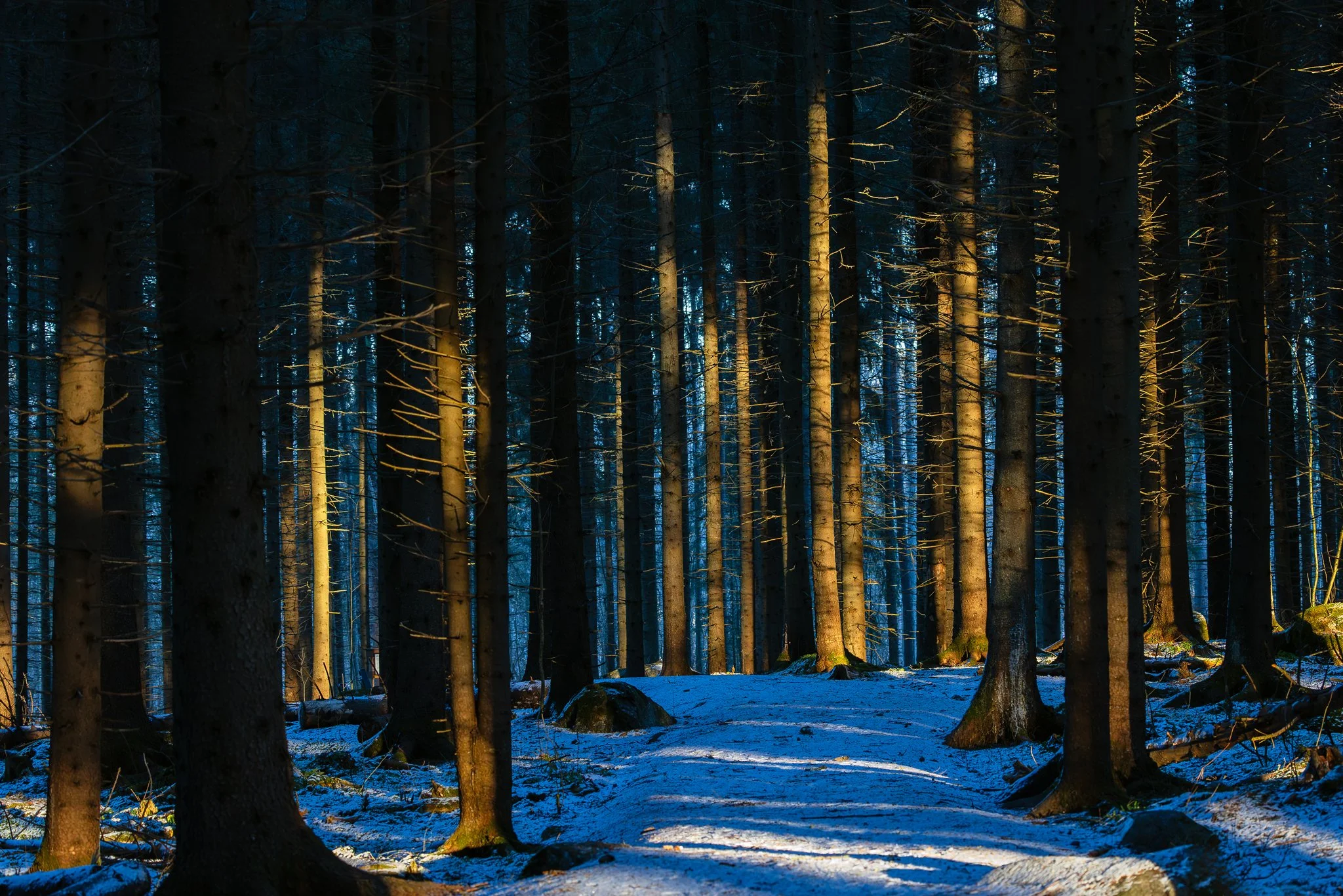 Haukanniemi, Jyväskylä, 2026