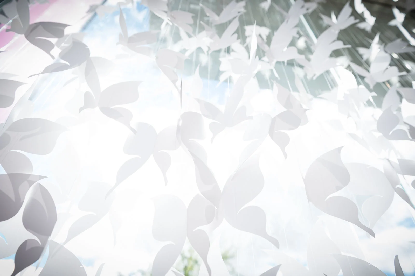 butterflies-eventdesign-elenapotter.jpg