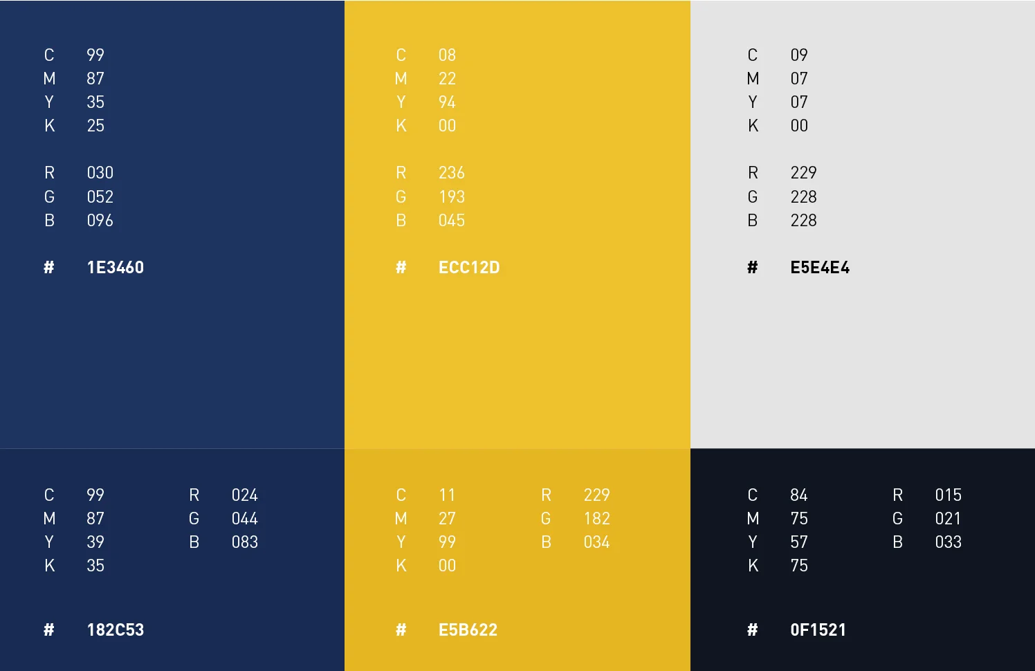 Valkyrie-BrandGuidelines9.jpg