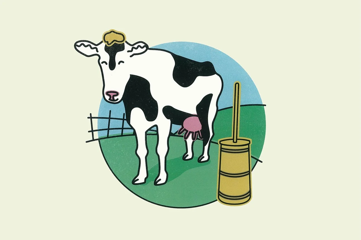 Illustration – Butter Flavored