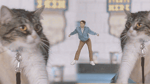 Cat-Guy_DANCE_500.gif