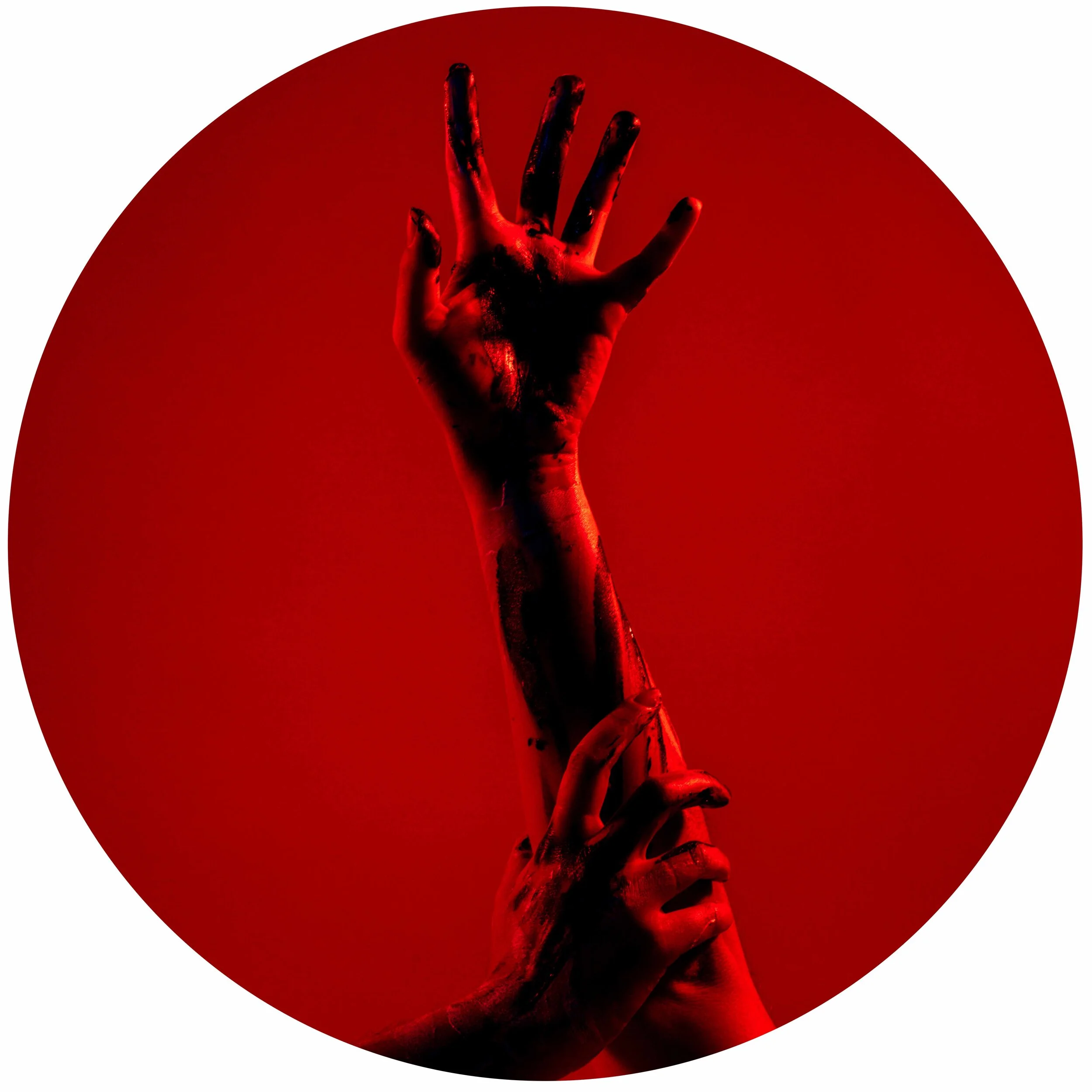 JSDR0342-Edit.jpg