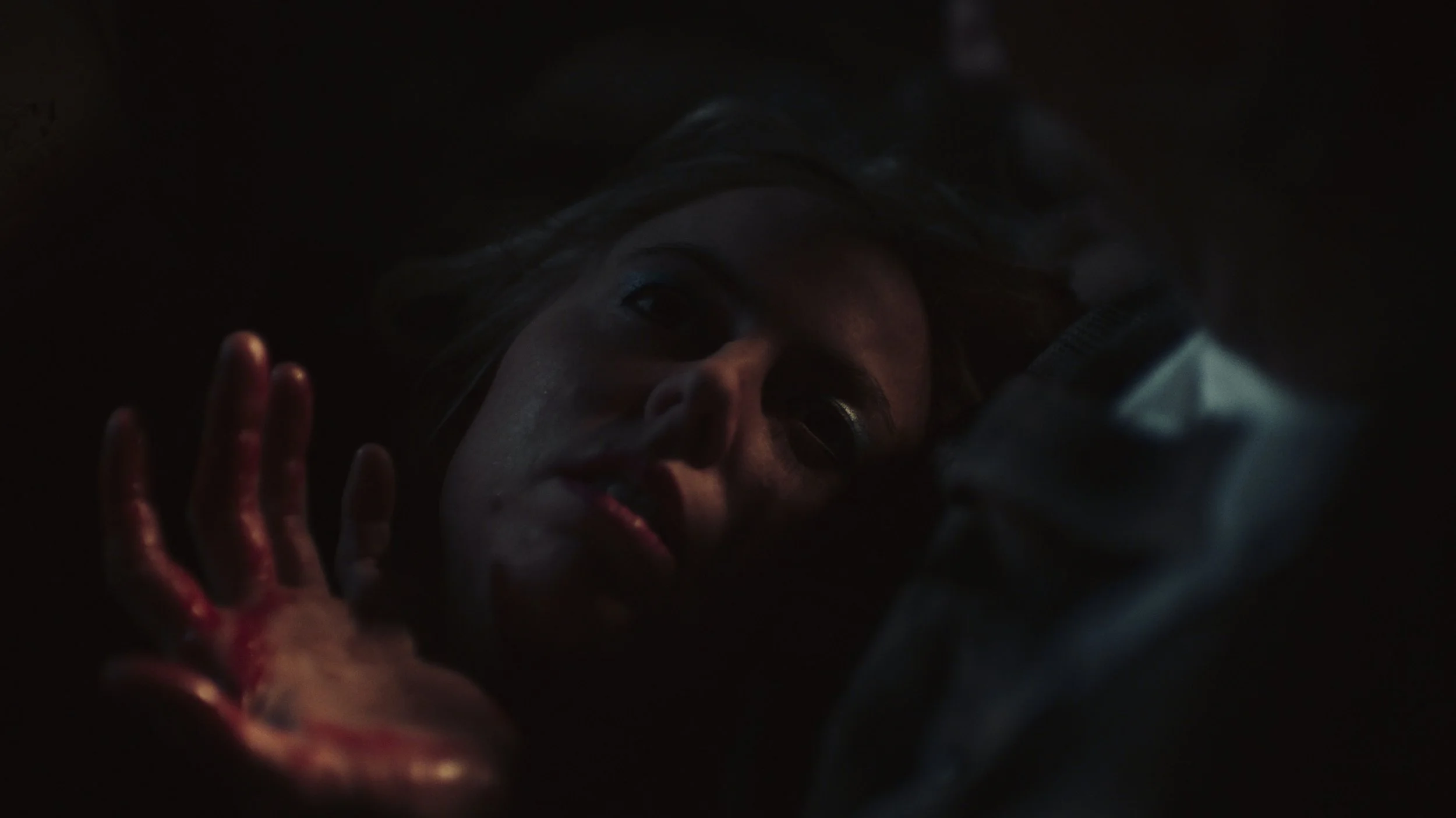 Still 2026-02-04 223223_1.36.2.jpg