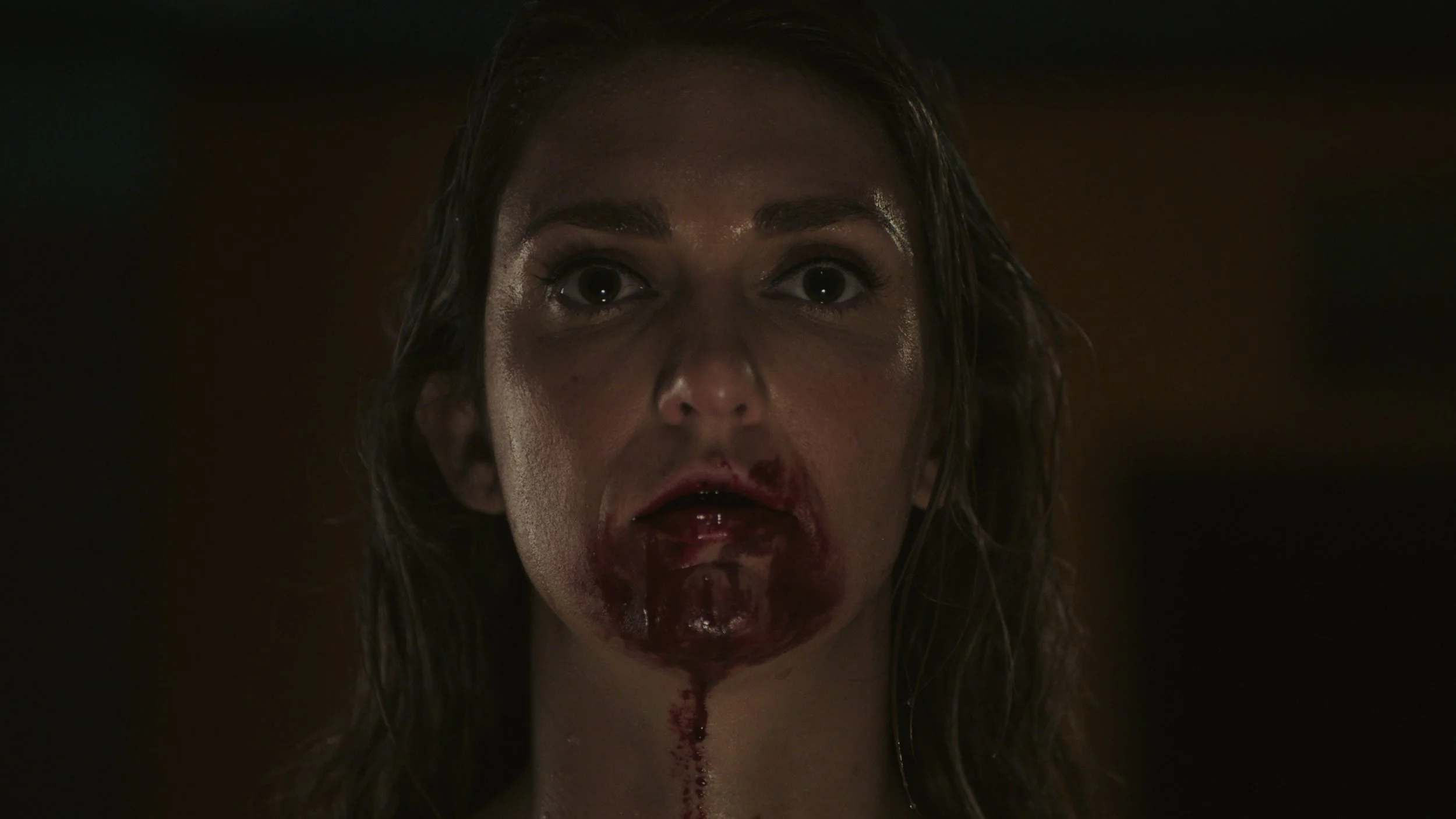 Still 2026-02-04 223223_1.60.1.jpg