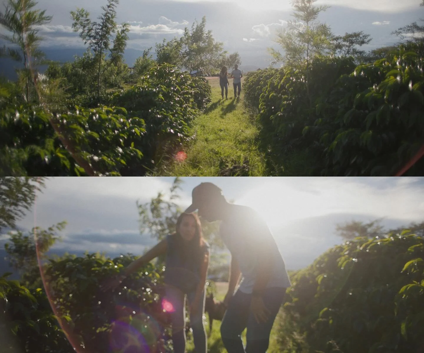 Ditting Coffee Grinders: Built to Last 
Client: @ditting / The Hemro Group 
Creative Director: @departmentofbrewology 
Dir/DP: @andypatch
Production Company: @canyonhousefilms 
Edit/drone/script: @thisfatefulhour 
Starring: @luirodriguez20  C500ii / 