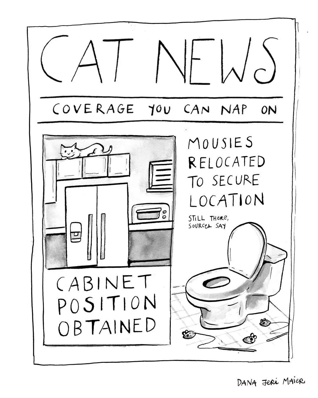 IG_CatNews6.jpg