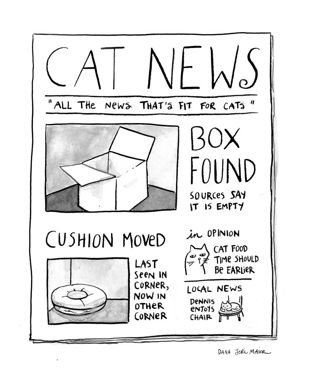 IG_Catnews1.jpg