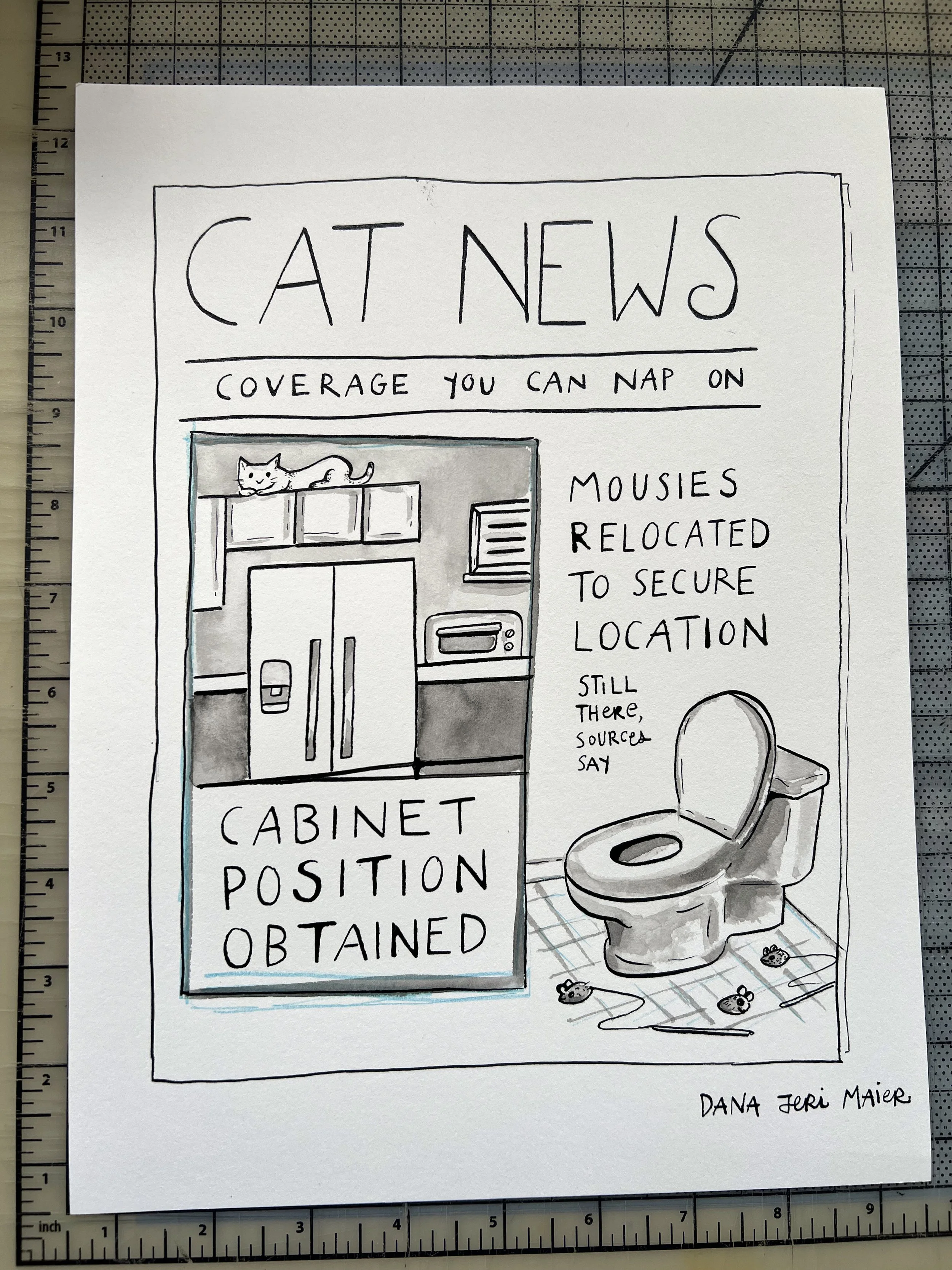 cat-news-cabinet-position-mousies-relocated.jpeg