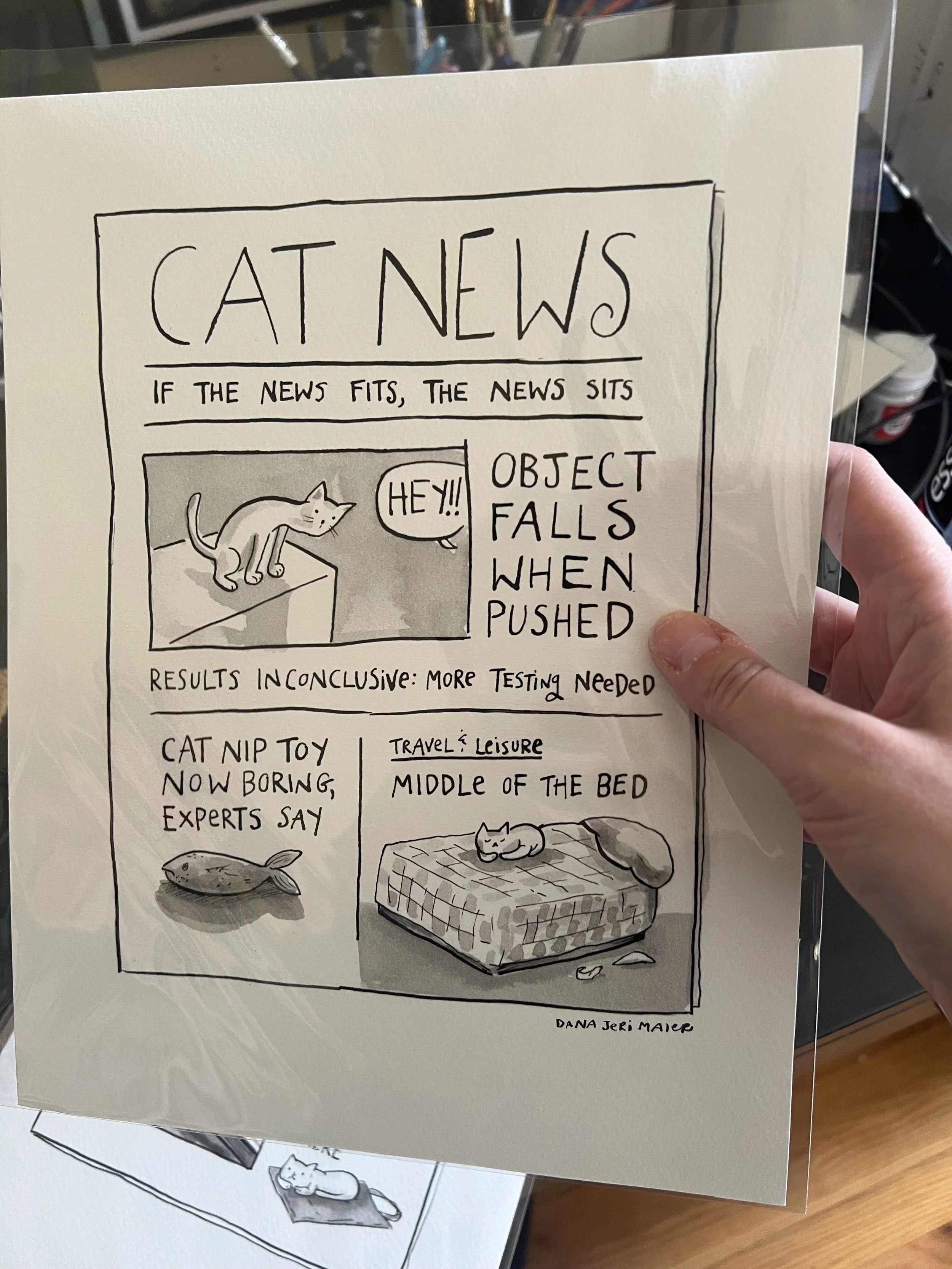 CatNewsPrintExample.jpeg