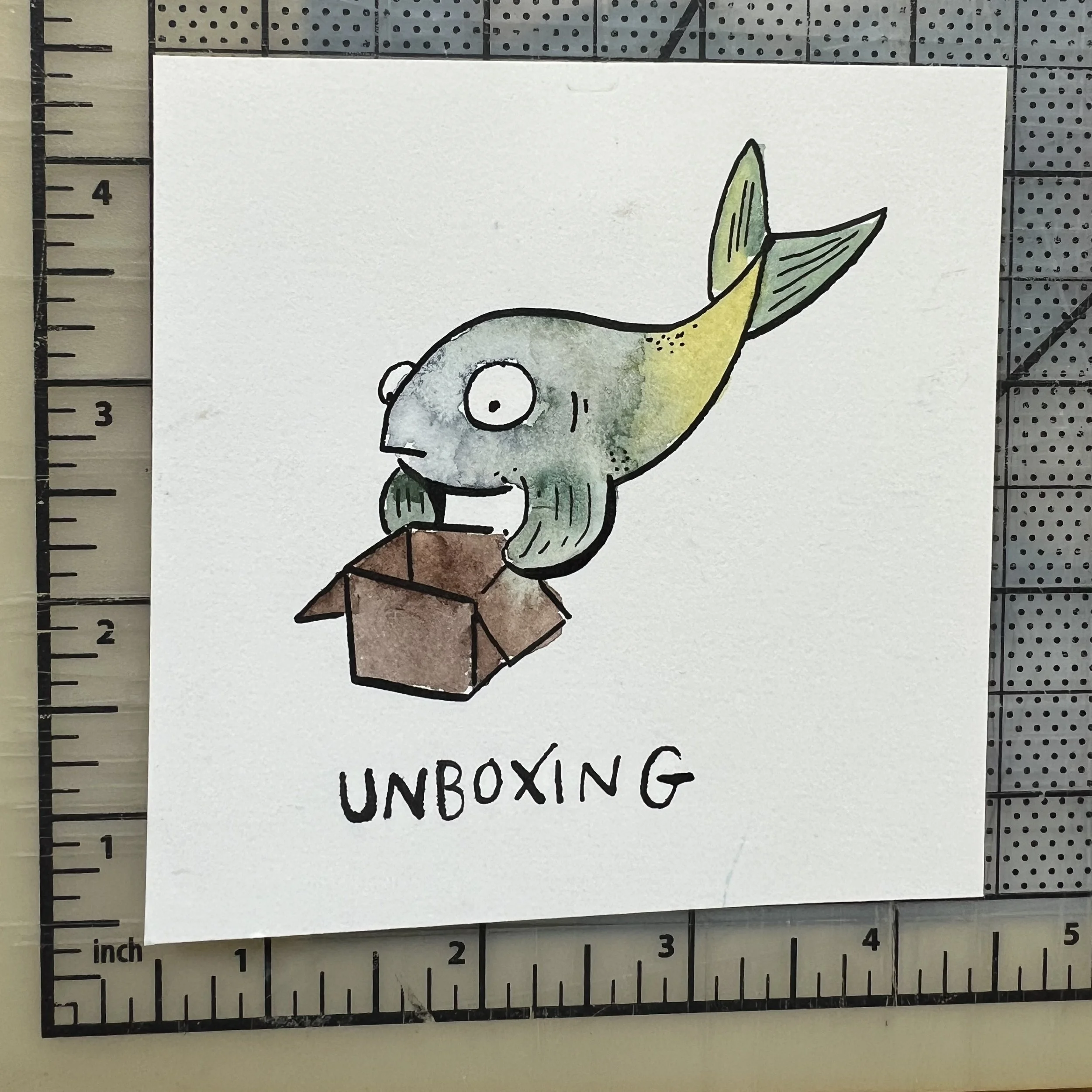 fish-watercolor-unboxing.jpeg