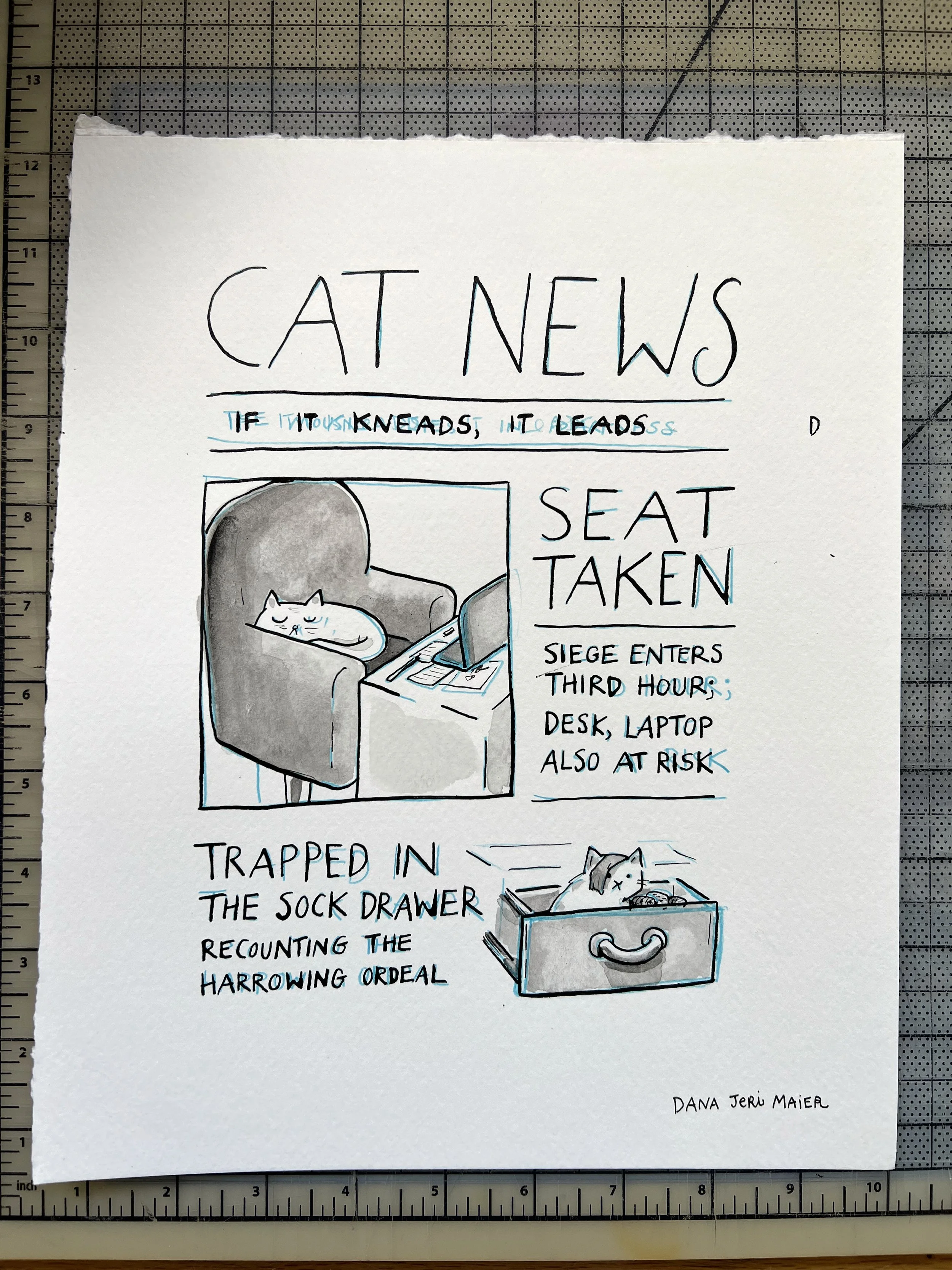 cat-news-seat-taken-sock-drawer.jpeg