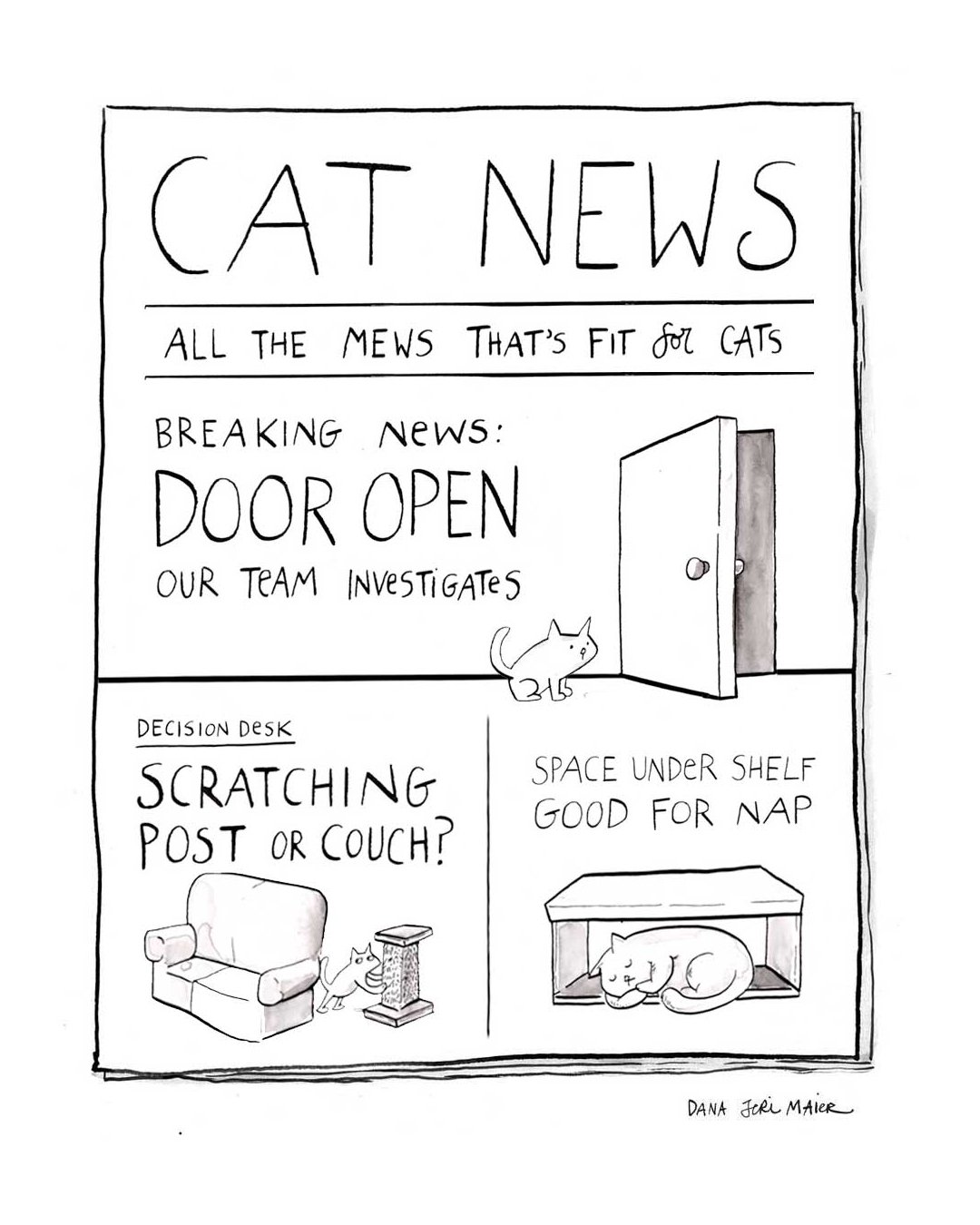 IG_Catnews2.jpg