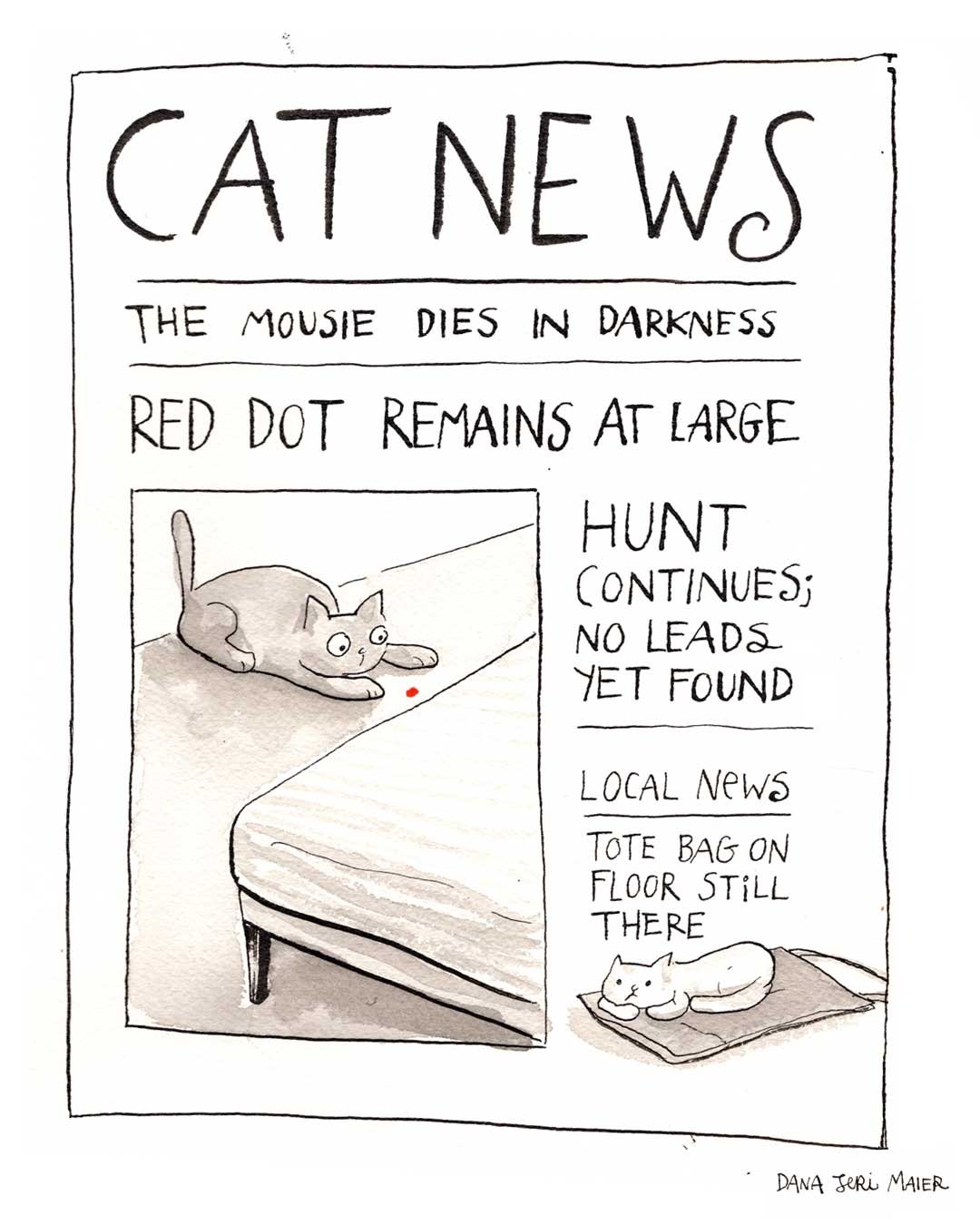 IG_CatNews4.jpg