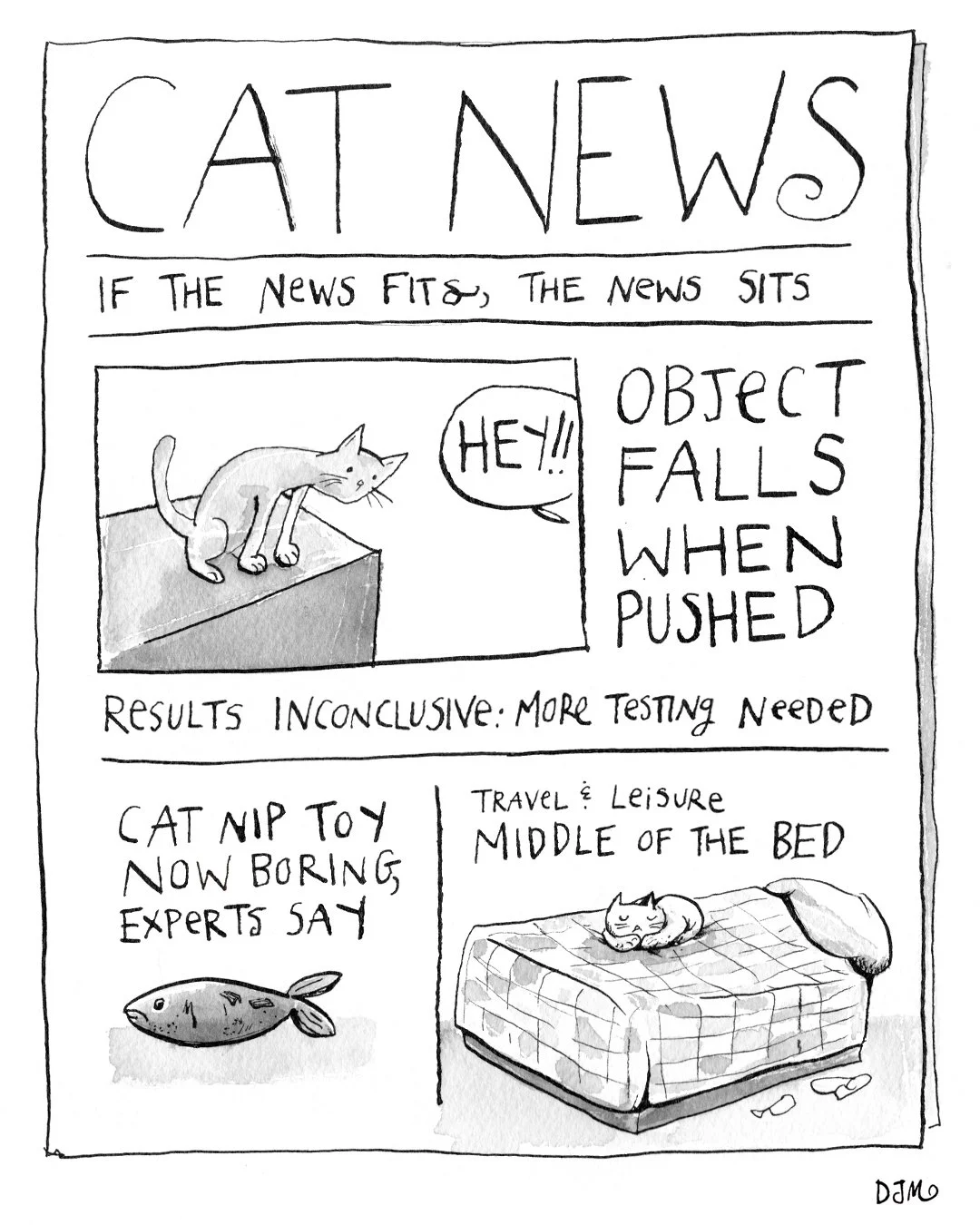 IG_CatNews3.jpg