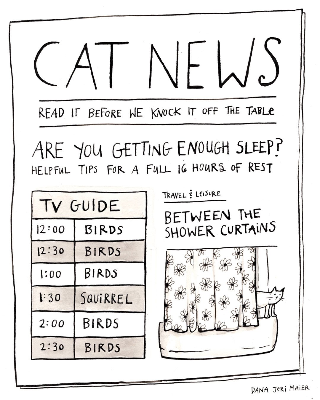 IG_CatNews7.jpg