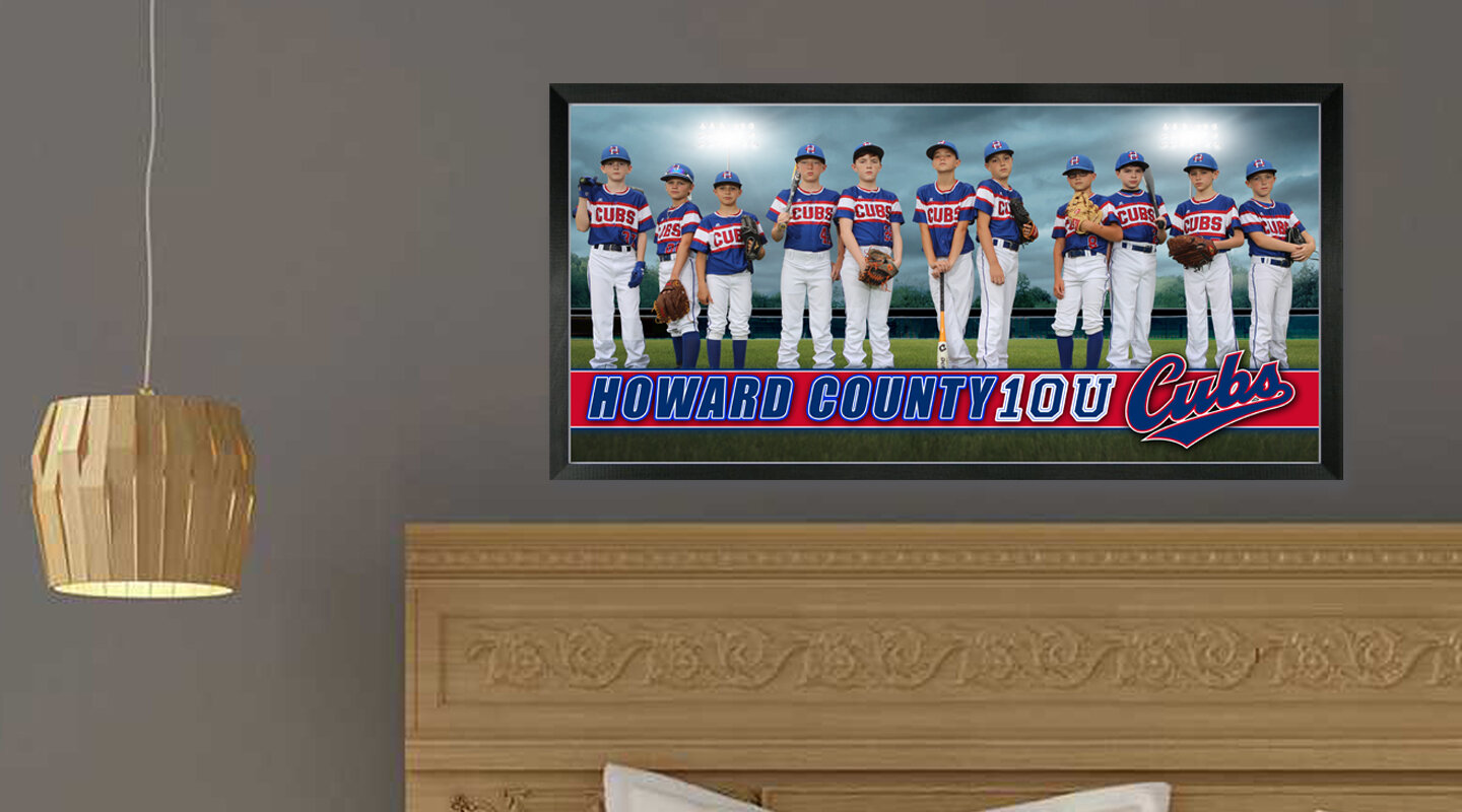 10U HOWARD COUNTY CUBS SPECIAL PRINT