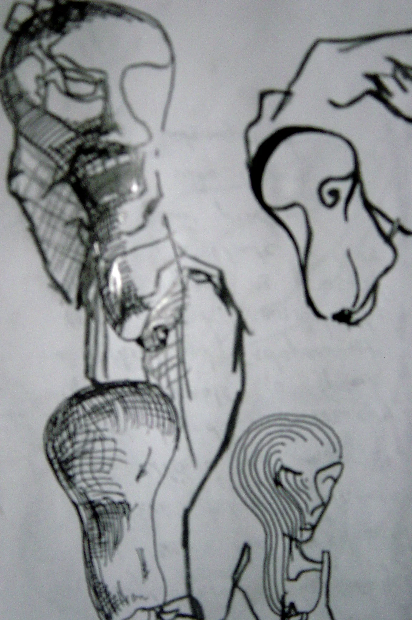 DSC01275.jpg