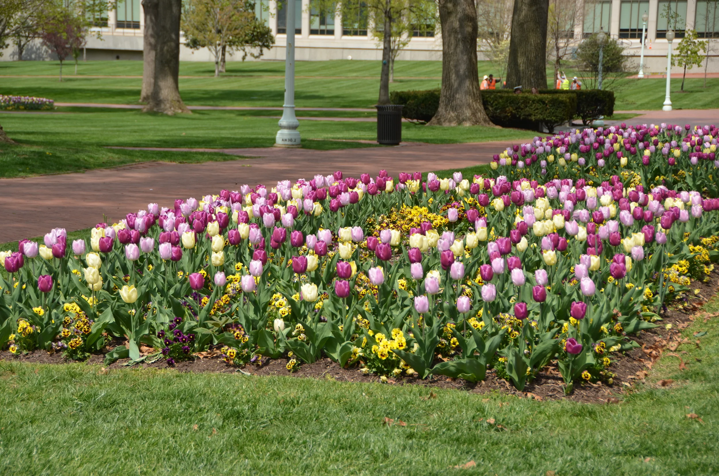 17-DSC_1056.JPG