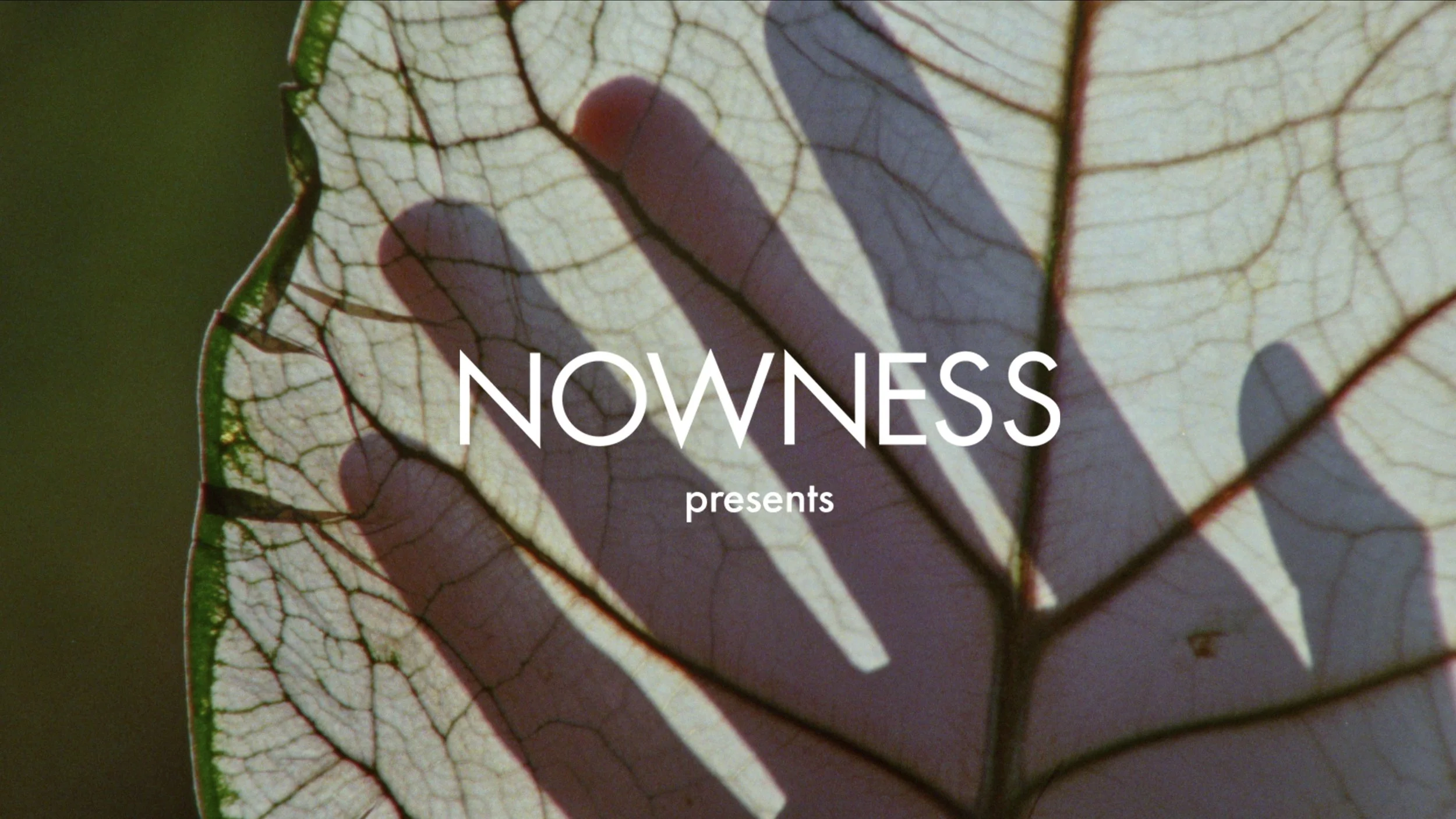 NOWNESS x ERDOS | Improvised Garden