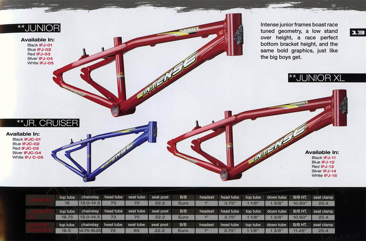 Intense BMX — MICHAEL STONIS DESIGN