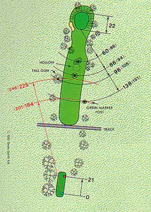 Hole 11