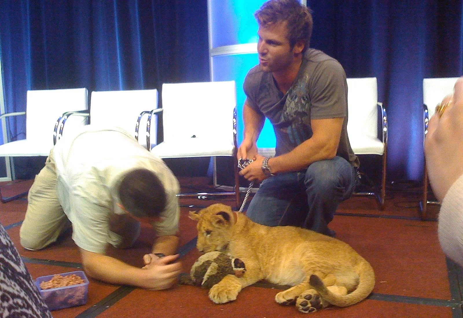 Beverly Hills January 9, 2009, Winter TCA Press Tour