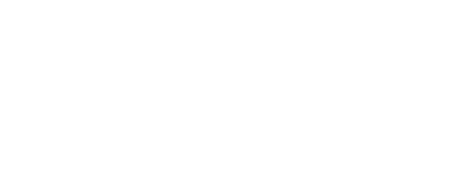 Cynthia Wang Media