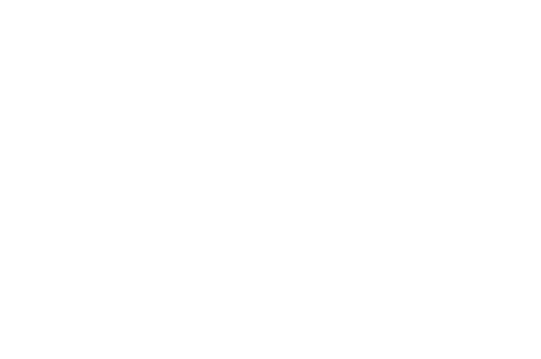 OFFICIAL SELECTION - ARIZONA UNDERGROUND FILM FESTIVAL - 2020.png