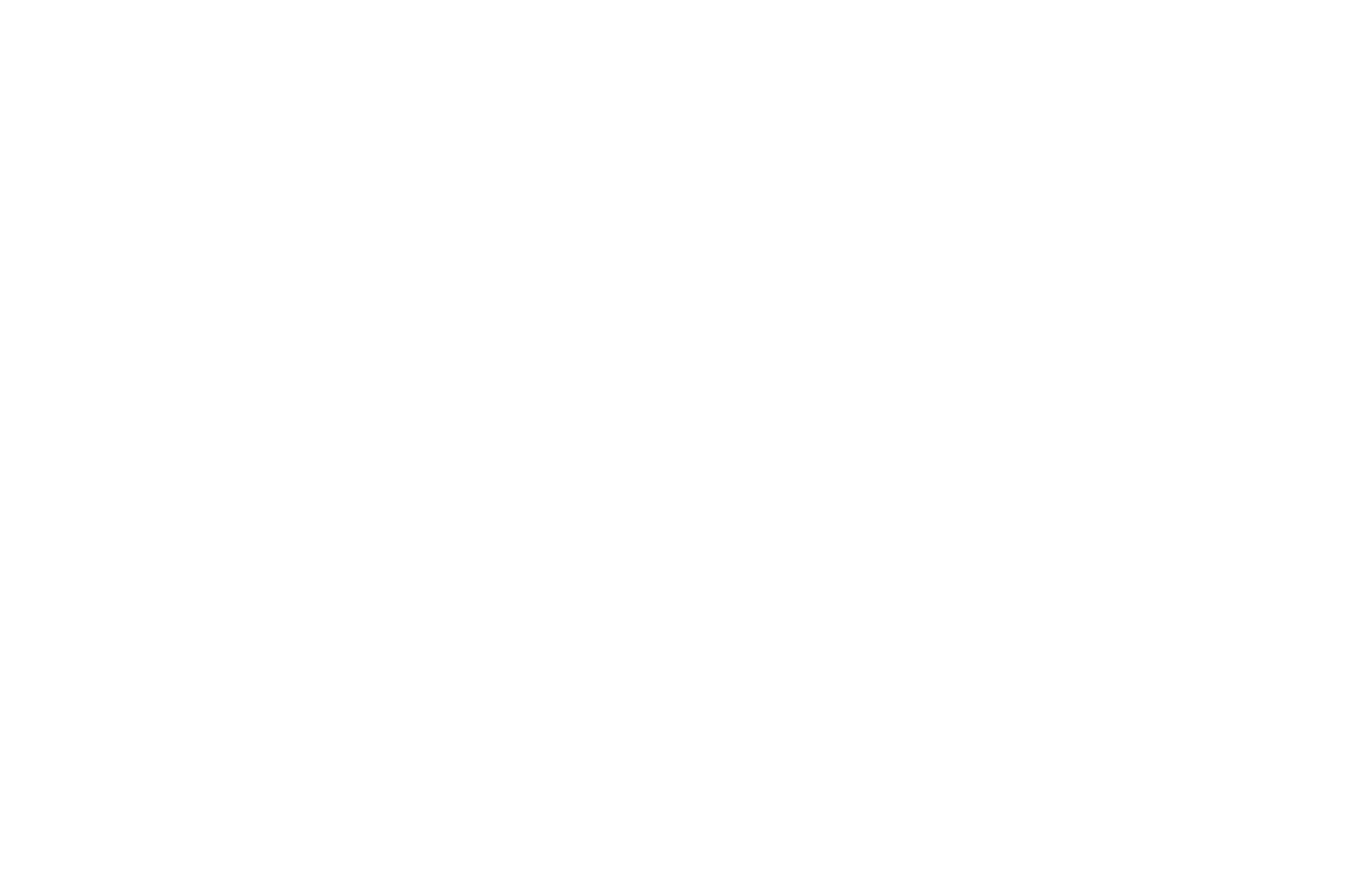 OFFICIAL SELECTION - BYRON BAY UNDERGROUND FILM FESTIVAL - 2020.png