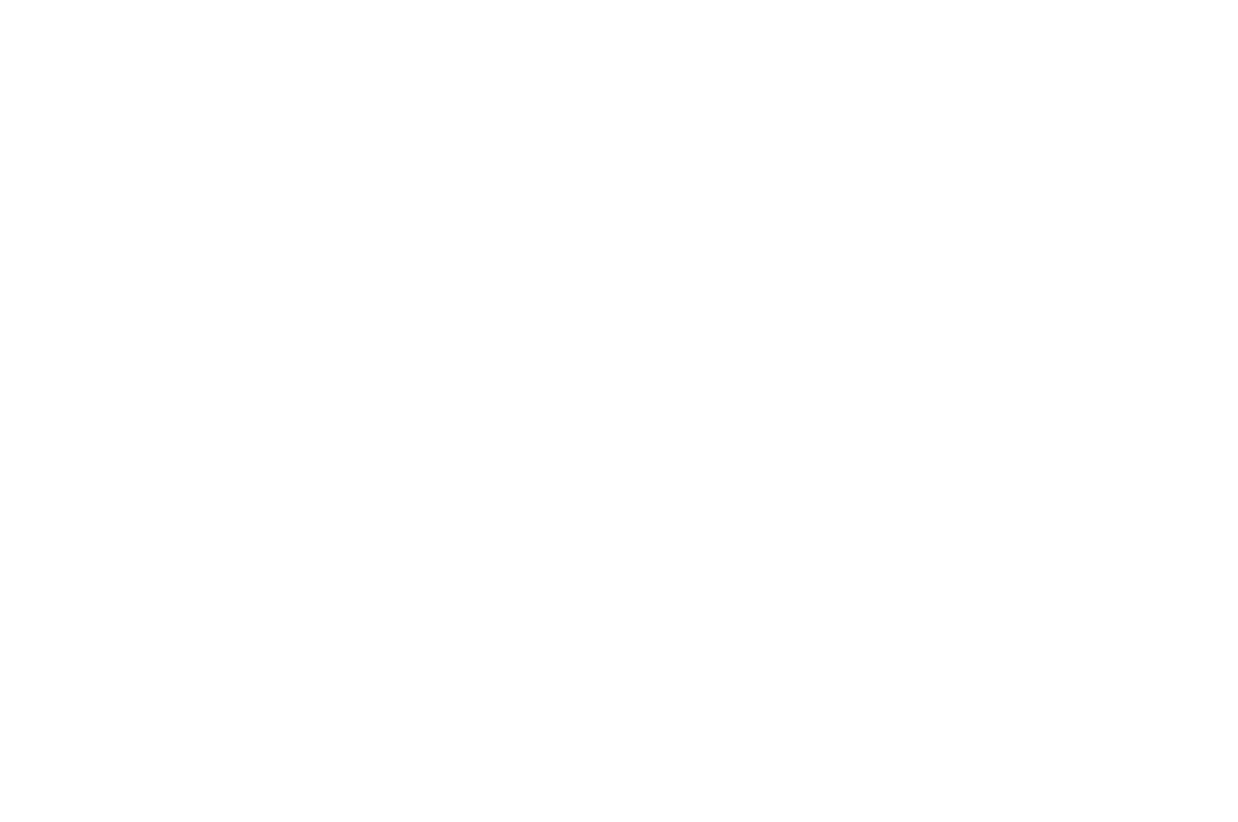 OFFICIAL SELECTION - Film Maudit - 2020.png