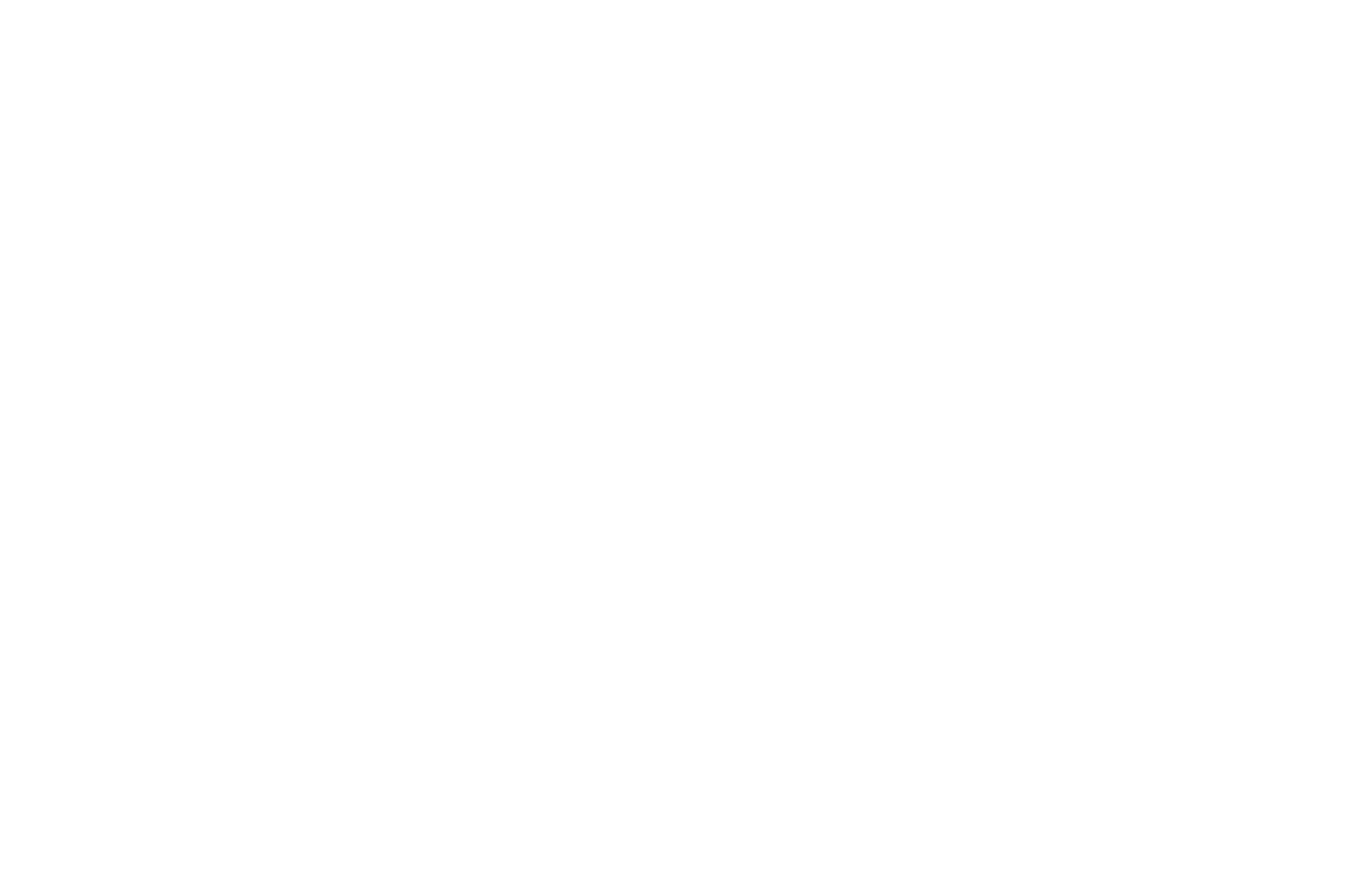 OFFICIAL SELECTION - GenreBlast Film Fest - 2020.png