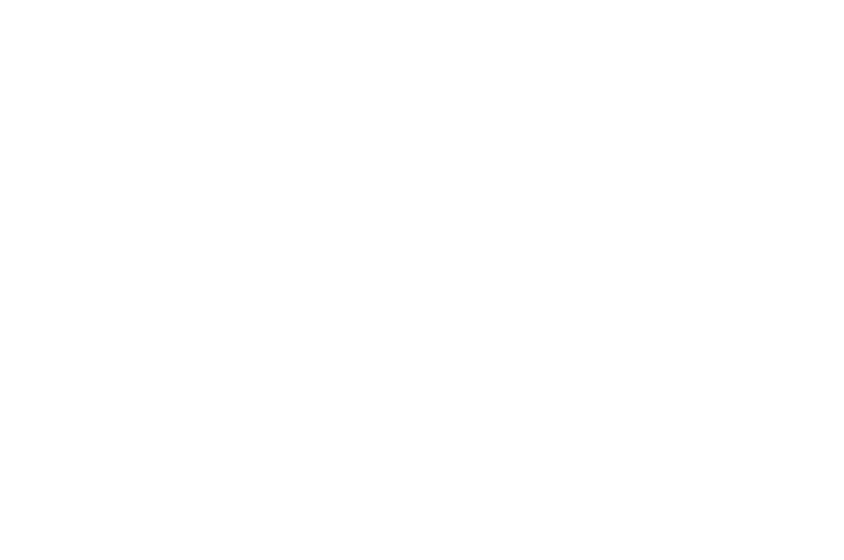 OFFICIAL SELECTION - Hobnobben Film Festival - 2020.png