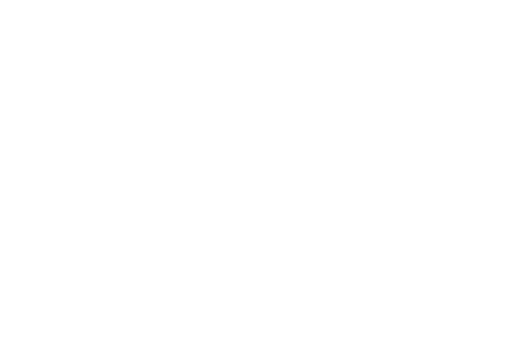 OFFICIAL SELECTION - KaPow Intergalactic Film Festival - 2020.png