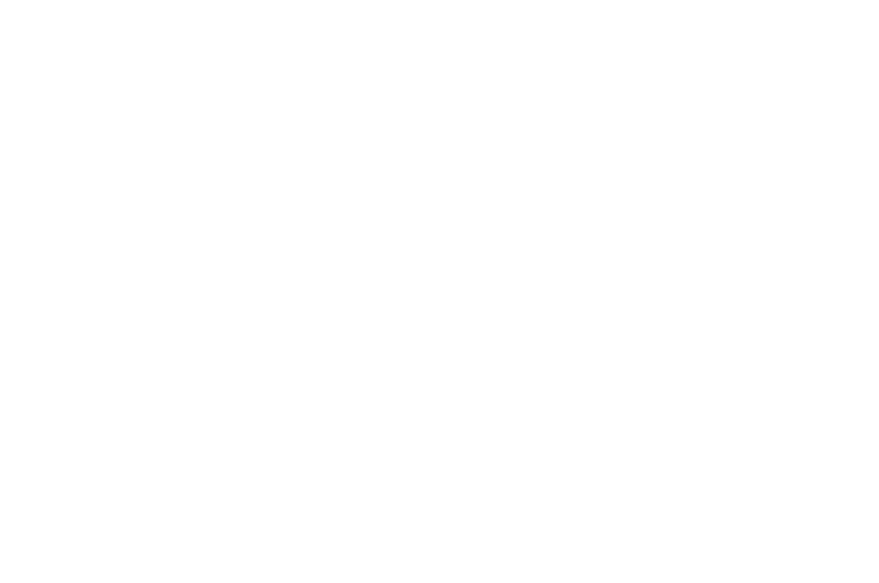 OFFICIAL SELECTION - Slash Night Film Festival - 2020.png