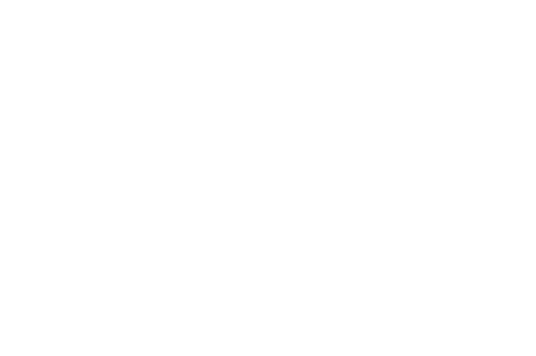 OFFICIAL SELECTION - South Texas Underground Film Festival - 2020.png