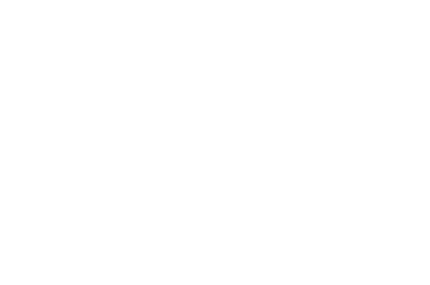 OFFICIAL SELECTION - Videodrunk - 2020.png