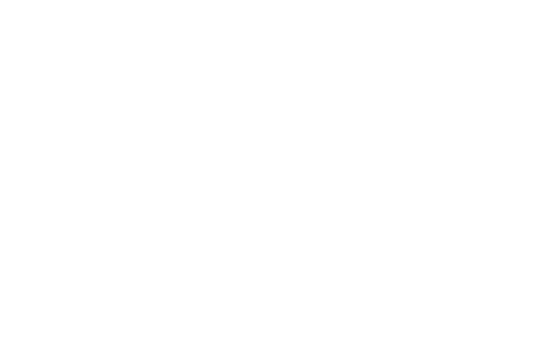 HONORABLE MENTION - Hollywood New Directors - 2020.png