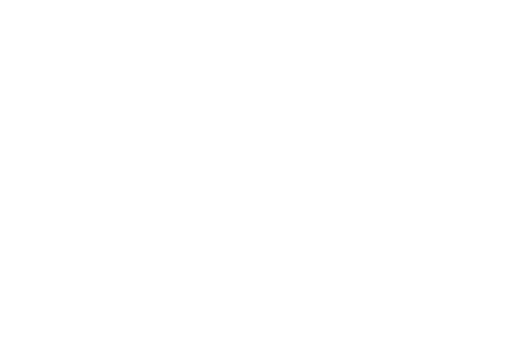HONORABLE MENTION - LA Underground Film Forum - 2020.png