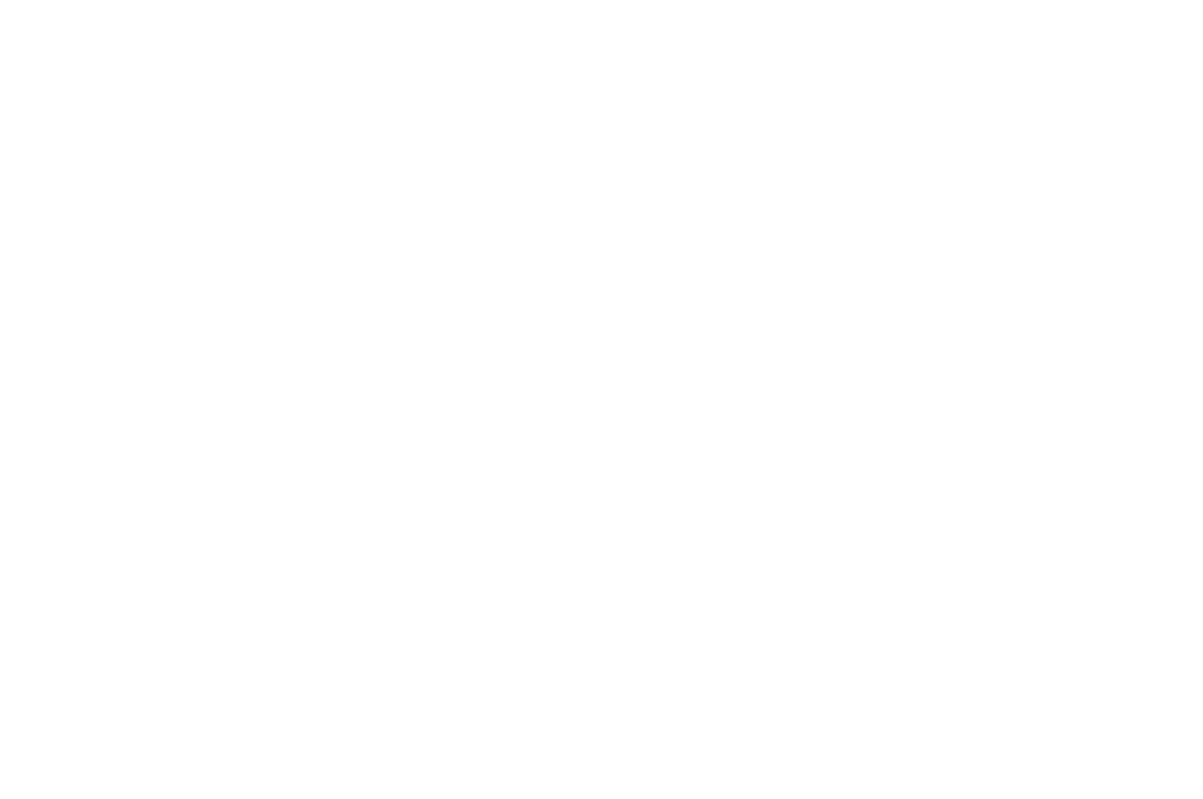 OFFICIAL SELECTION - Rivercity Underground Film Festival - 2020.png