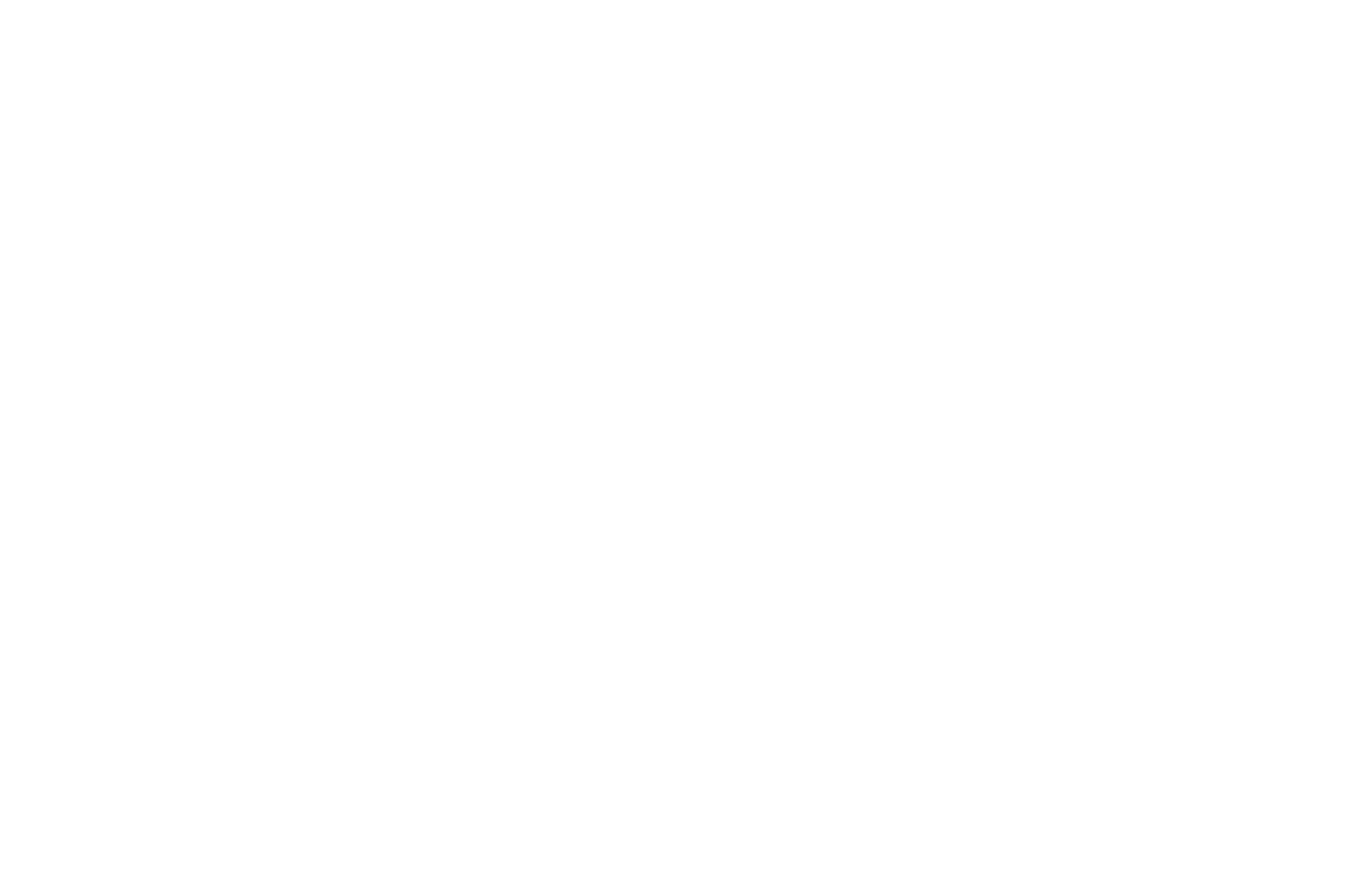 OFFICIAL SELECTION - Tampa Bay Underground Film Festival - 2020.png