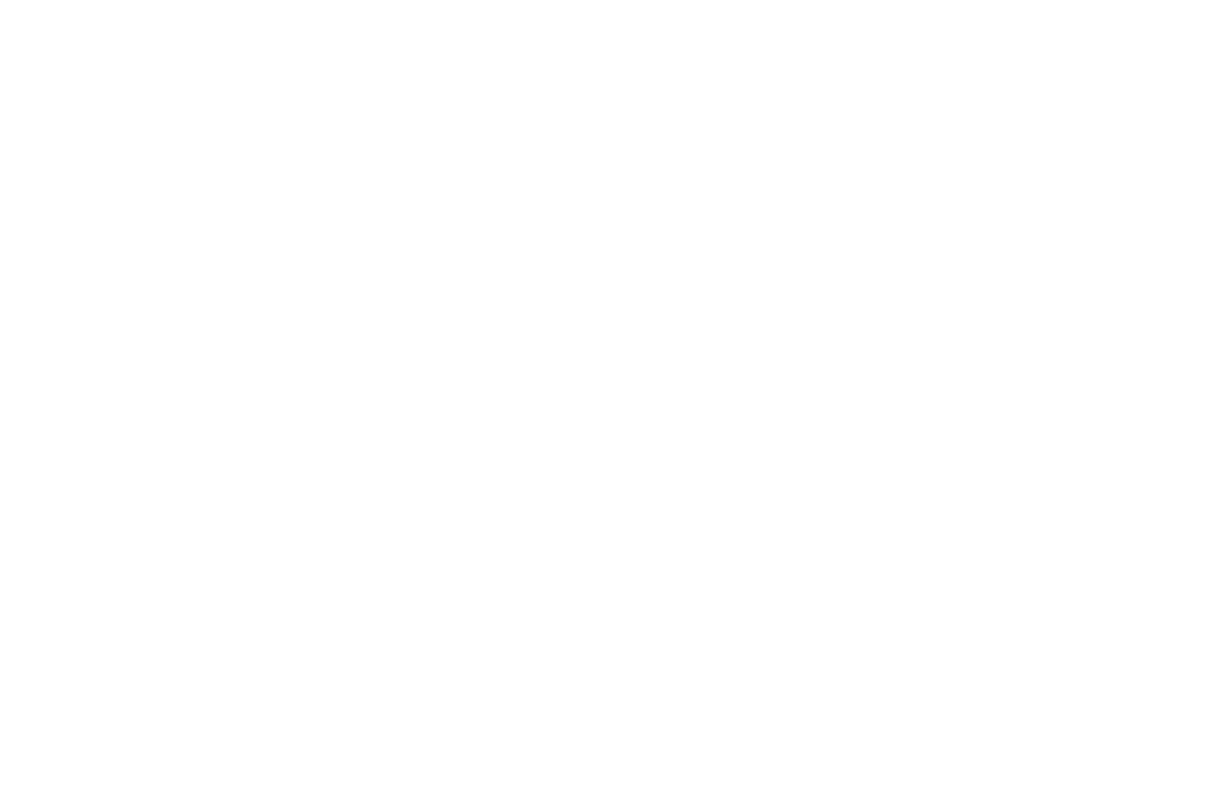 OFFICIAL SELECTION - Be Afraid Horror Film Festival.png